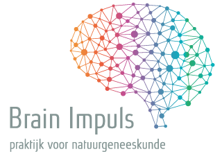 logo van Brainimpuls